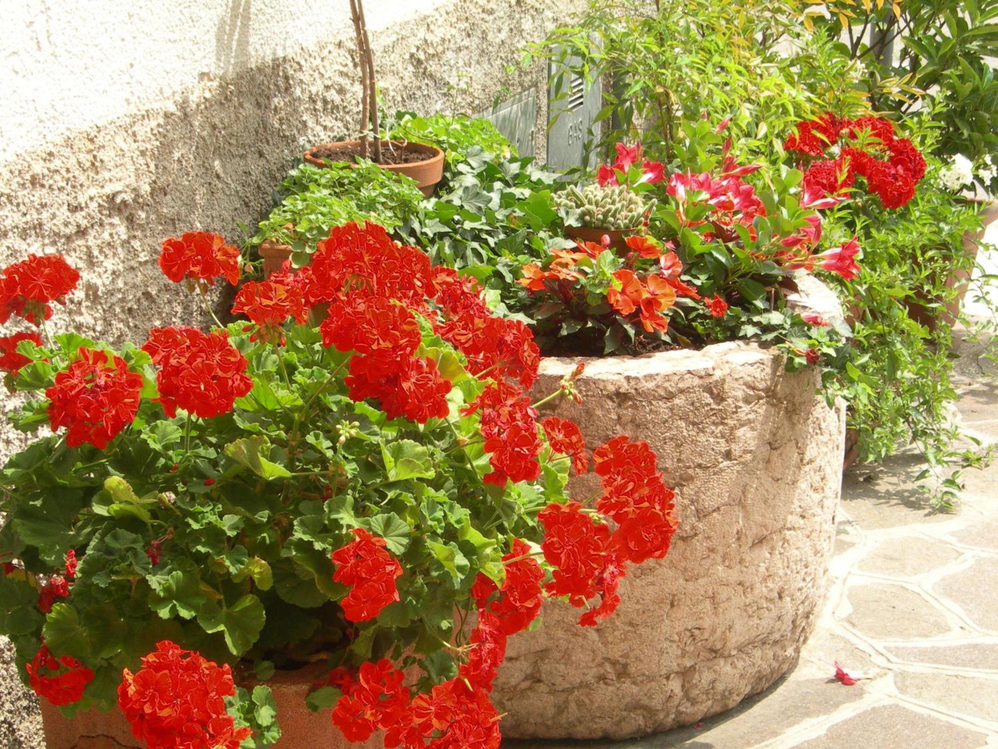 Albergo Centrale San Zeno di Montagna
