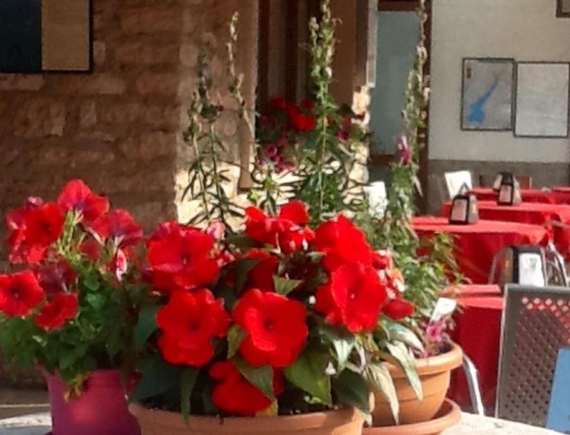 Albergo Centrale Hotel 2*